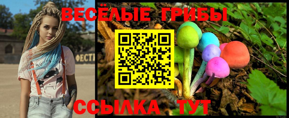 Галлюциногенные грибы ЛСД Кудрово